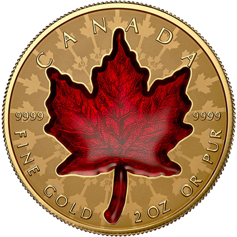 ͽ  2024 ʥ ꥶ٥2 ᥤץ꡼ 200ʥɥ  2 Сץ롼 NGC REVERSE PF 70 FDOI ǡʽ˺ǹ ̤ Ȣ 