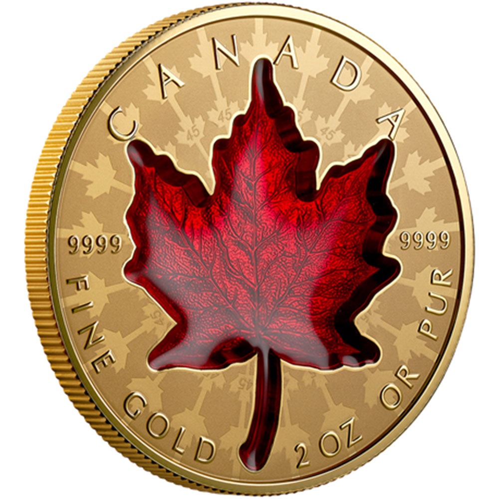 ͽ  2024 ʥ ꥶ٥2 ᥤץ꡼ 200ʥɥ  2 Сץ롼 NGC REVERSE PF 70 FDOI ǡʽ˺ǹ ̤ Ȣ 