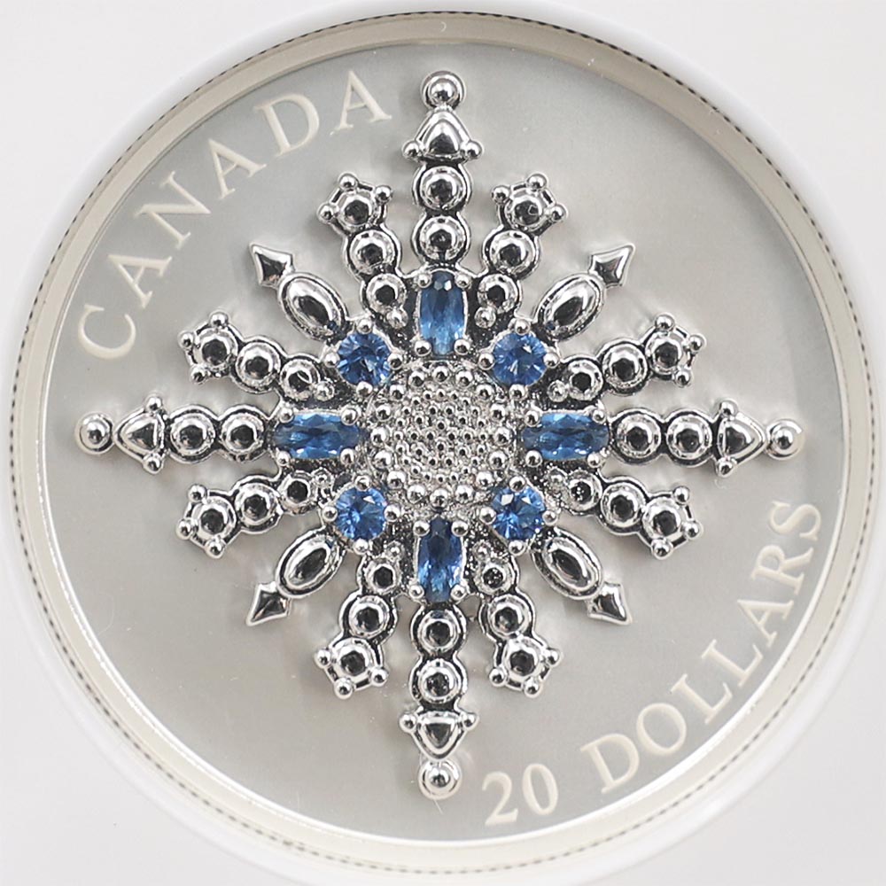 2024 ���ʥ� ���ե�����������ӥ꡼�����Ρ��ե졼�����֥����� 20���ʥ��ɥ� ��� ���顼���ȡ����� ���������å��ž夲 ��ä��ץ롼�� �ץ롼�եޥå� NGC PF 70 MATTE FR ������ �ǹ���� ����̤������ ��Ȣ��