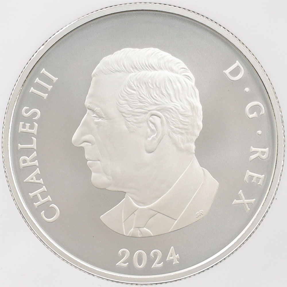 2024 ���ʥ� ���ե�����������ӥ꡼�����Ρ��ե졼�����֥����� 20���ʥ��ɥ� ��� ���顼���ȡ����� ���������å��ž夲 ��ä��ץ롼�� �ץ롼�եޥå� NGC PF 70 MATTE FR ������ �ǹ���� ����̤������ ��Ȣ��