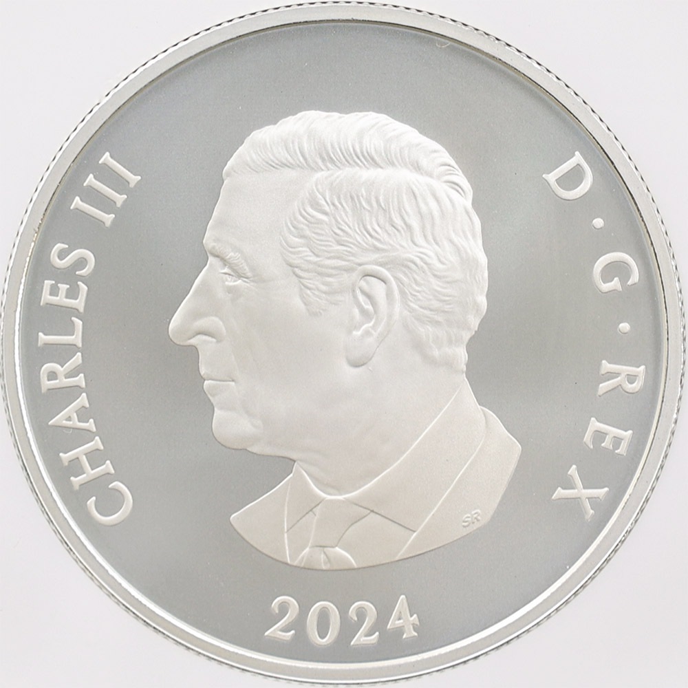 2024 ���ʥ� ���ե�����������ӥ꡼�����Ρ��ե졼�����֥����� 20���ʥ��ɥ� ��� ���顼���ȡ����� ���������å��ž夲 ��ä��ץ롼�� �ץ롼�եޥå� NGC PF 70 MATTE FR ������ �ǹ���� ����̤������ ��Ȣ��