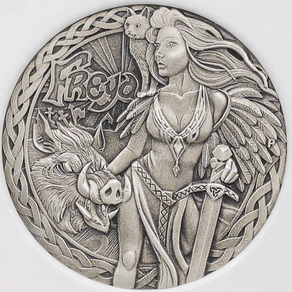  2017 ĥХ ϥ졼 ̲ν ե쥤 2ɥ  2 ץ롼 ƥž夲 NGC PF 70 ANTIQUED ER  ǹ ̤ Ȣ