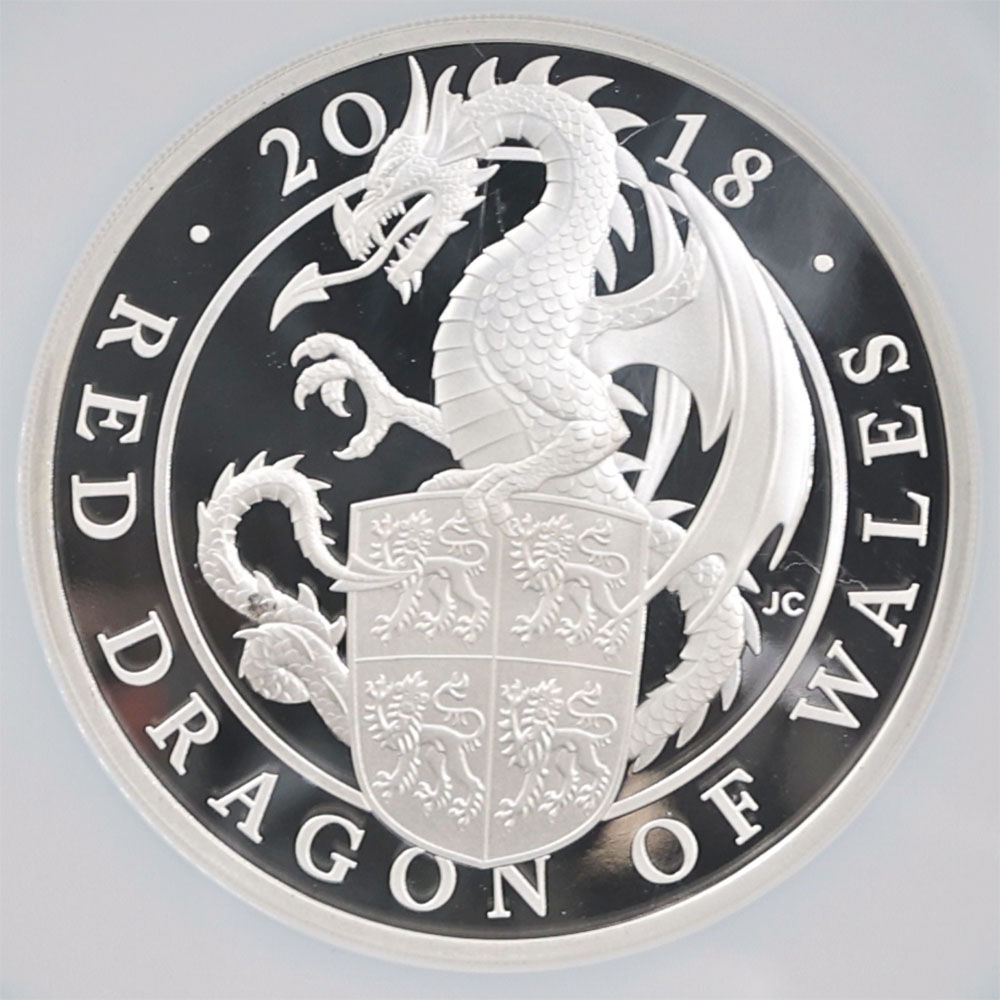 �������� 2018 �ѹ� ��Ϥνå��쥯����� �������륺�Υ�åɥɥ饴�� 10�ݥ�� ��� 5���� �ץ롼�� NGC PF 69 UC ONE OF FIRST 250 STRUCK ��ǹ���� ����̤������ ��Ȣ�աڥݥ���ȡ������ݥ������оݳ���