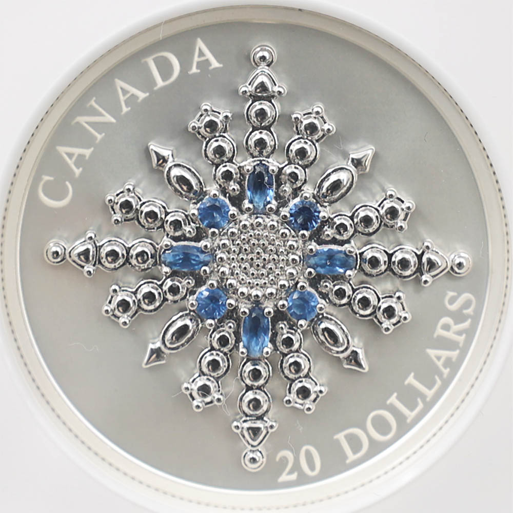 2024 ʥ եӥ꡼Ρե졼֥ 20ʥɥ  顼ȡ åž夲 äץ롼 ץ롼եޥå NGC PF 70 MATTE FR  ǹ ̤ Ȣ