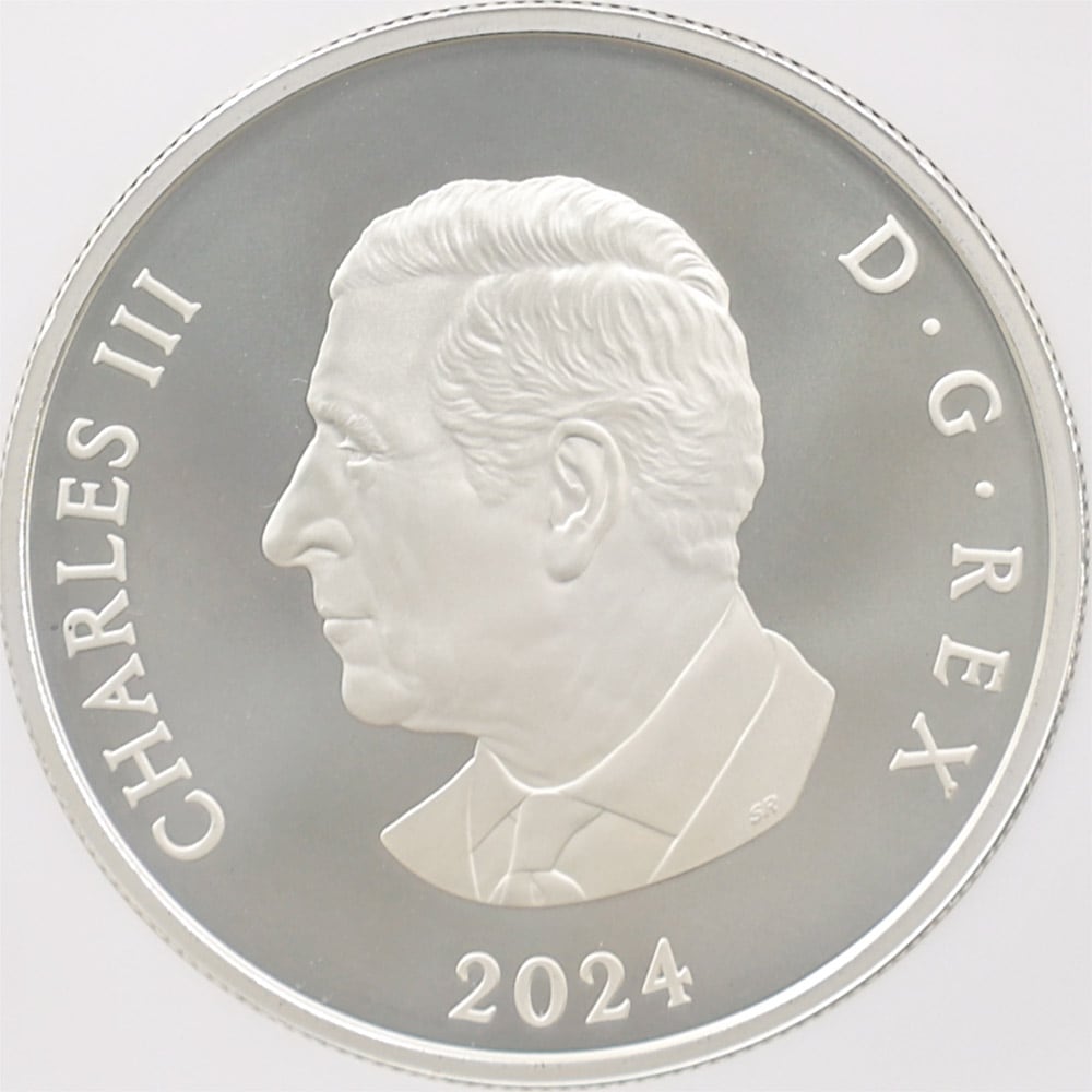 2024 ʥ եӥ꡼Ρե졼֥ 20ʥɥ  顼ȡ åž夲 äץ롼 ץ롼եޥå NGC PF 70 MATTE FR  ǹ ̤ Ȣ