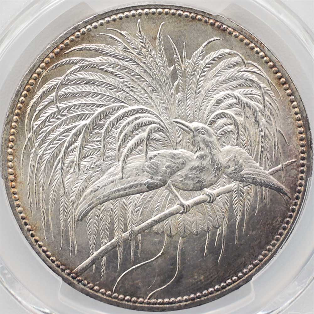 ��α�� 1894 �ɥ����Υ˥塼���˥� �˳�Ļ 5�ޥ륯 ��� PCGS MS 65 ̤���ѡ�����̤������