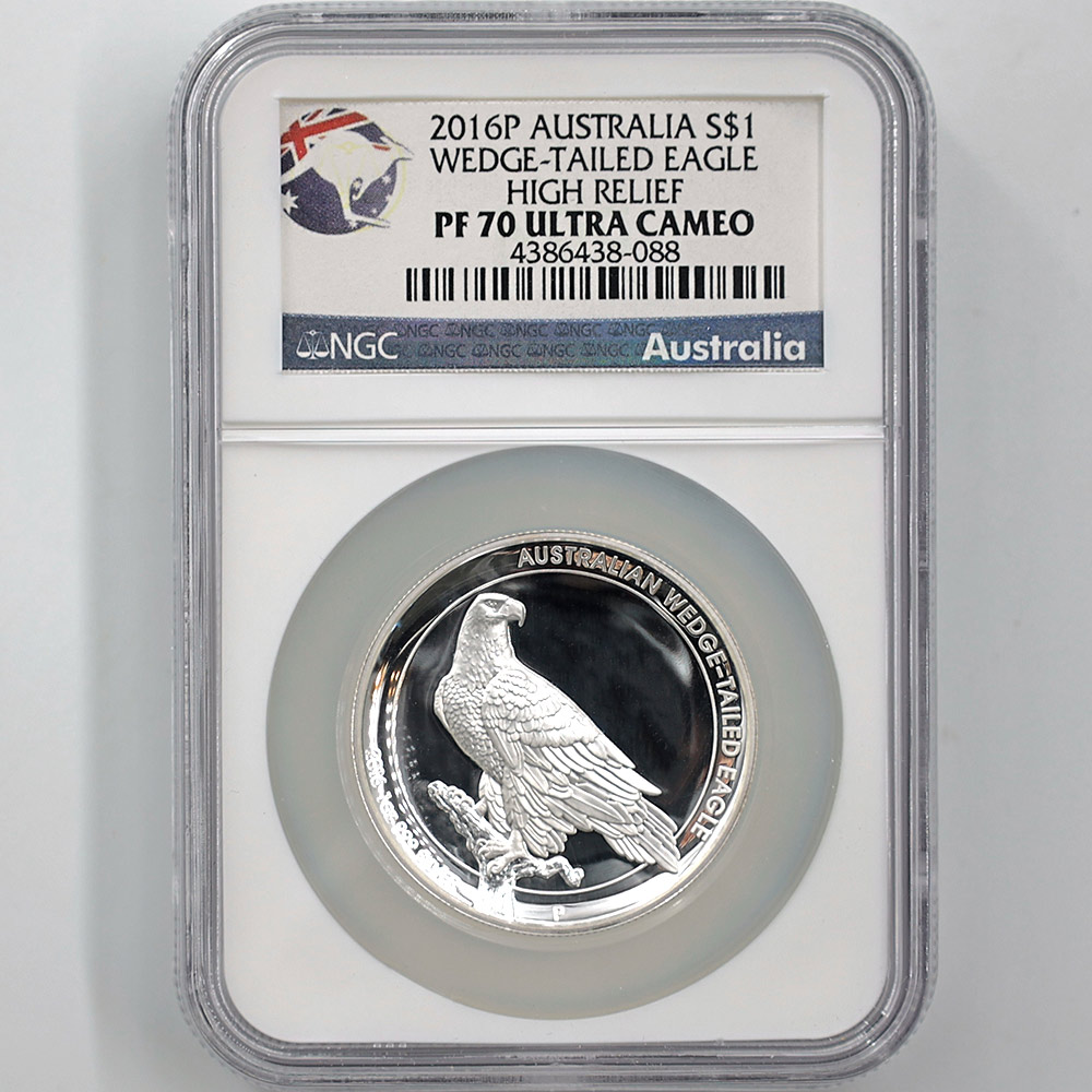 2016 ȥꥢ ϥ꡼ ʥ̥亮 1ɥ  1 ץ롼 NGC PF 70 UC ǹ ̤ åơ륤