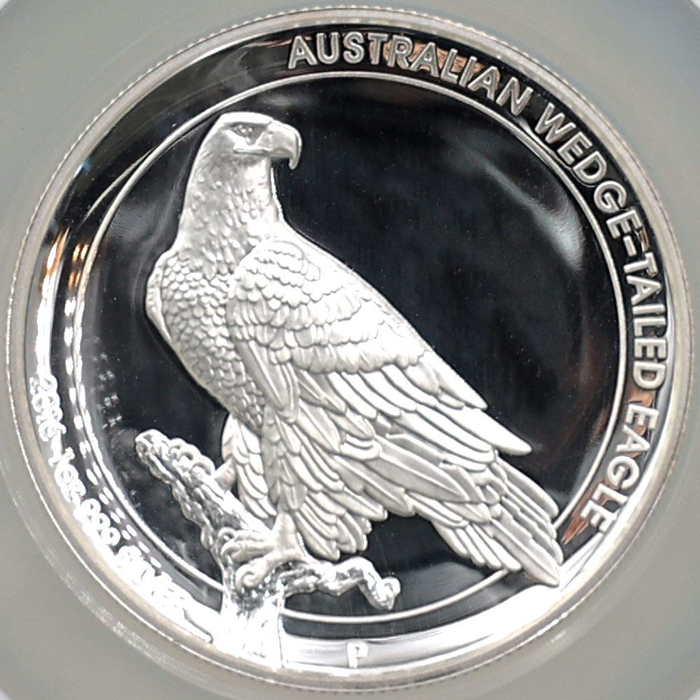 2016 ȥꥢ ϥ꡼ ʥ̥亮 1ɥ  1 ץ롼 NGC PF 70 UC ǹ ̤ åơ륤