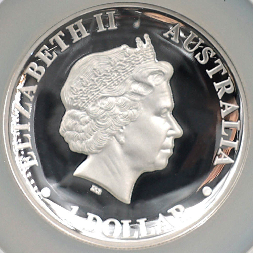 2016 ȥꥢ ϥ꡼ ʥ̥亮 1ɥ  1 ץ롼 NGC PF 70 UC ǹ ̤ åơ륤