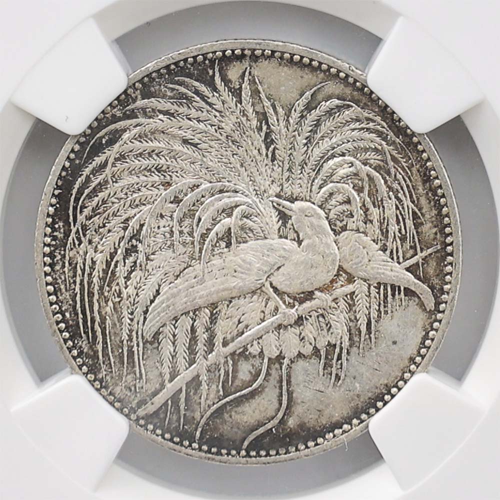 �������� 1894 �ѥץ��˥塼���˥� �˳�Ļ 2�ޥ륯 ���  NGC MS 64 ̤���ѡ�����̤�����ʡڥݥ���ȡ������ݥ������оݳ���