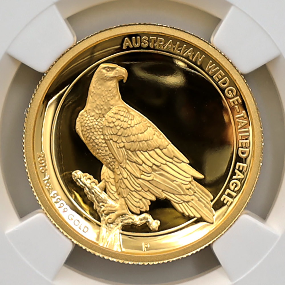 �������� 2016 �������ȥ�ꥢ �ϥ���꡼�� ���ʥ����̥亮 100��ɥ� ��� 1���� �ץ롼�� NGC PF 70 UC ER ������ �ǹ���� ����̤������ �����å��ơ��륤������ �ڥݥ���ȡ������ݥ������оݳ���