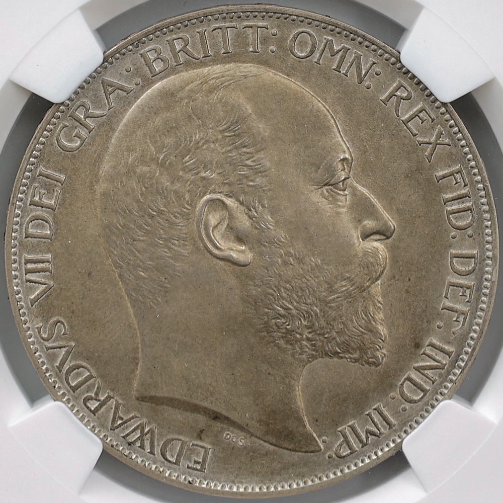 1902 �ѹ� ���ɥ��7�� 1���饦�� ��� �ץ롼�� �ޥå� NGC PF 64 MATTE ̤���ѡ�����̤������ �����ꥹ ���