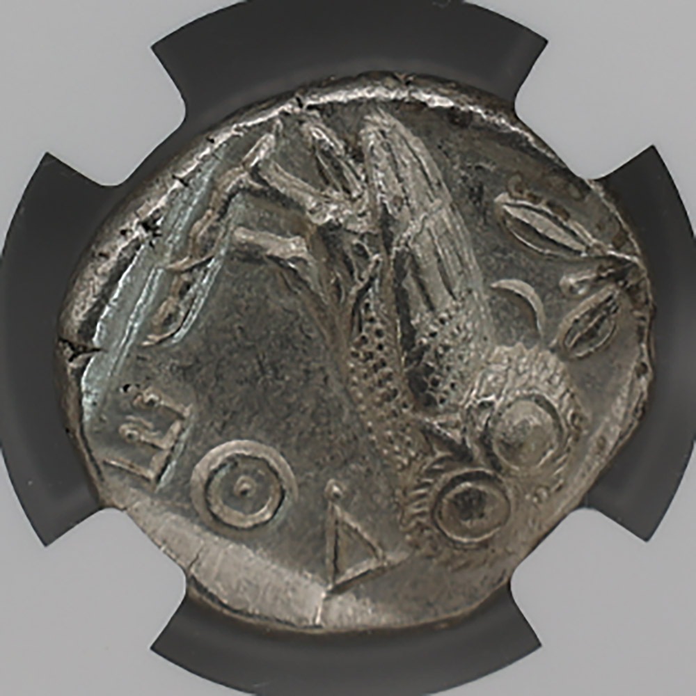 �������� c.440-404ǯBC ATTICA ���ƥ� AR�ƥȥ�ɥ饯�� ���女���� NGC MS 5/5-4/5