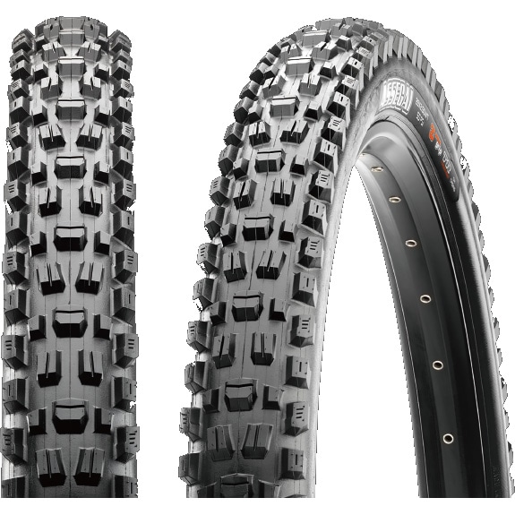 マキシス アセガイ 29インチ WT チューブレスレディ フォルダブル