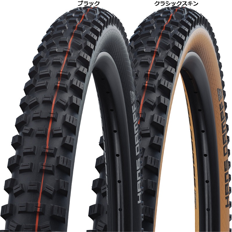 SCHWALBE チューブレスTL-EASY EVO 29”トレイルタイヤ SCHWALBE チューブレスTL-EASY EVO 29”トレイルタイヤ