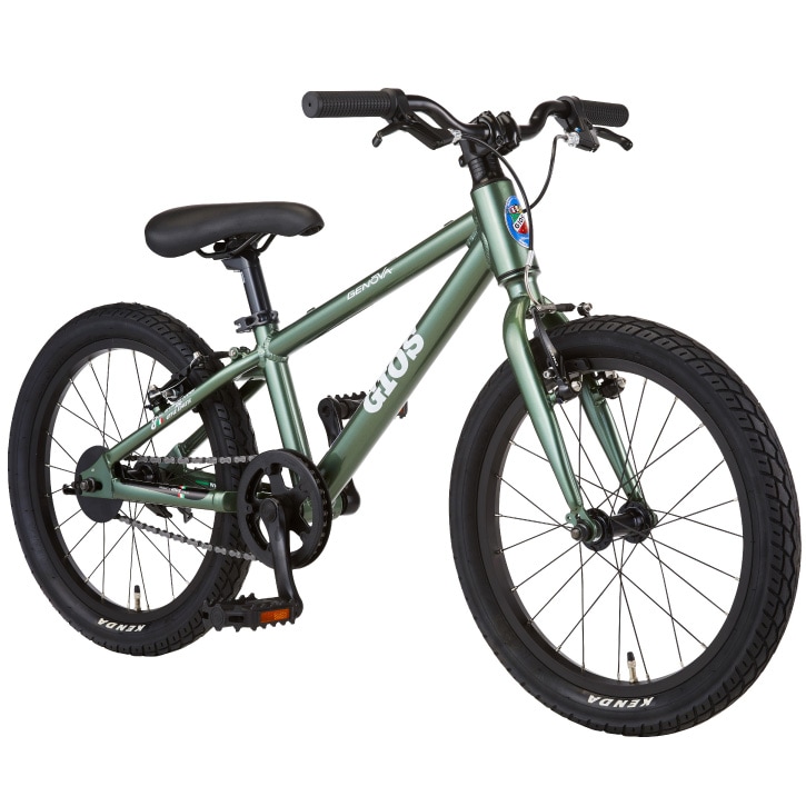 GIOS ジェノバキッズMTB 20インチ新品部品多数！