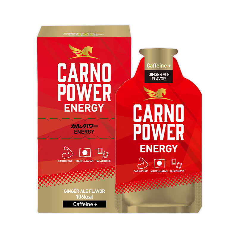 ぼっちゃりーな　カルノシンとエナジーエンハンサー2個セット ハマリ産業 カルノパワー ENERGY ジンジャーエール 40g×10パック
