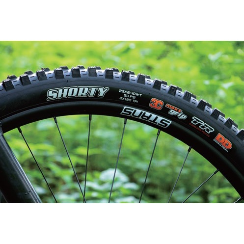 マキシス ショーティー 27.5インチ WT DH チューブレスレディ
