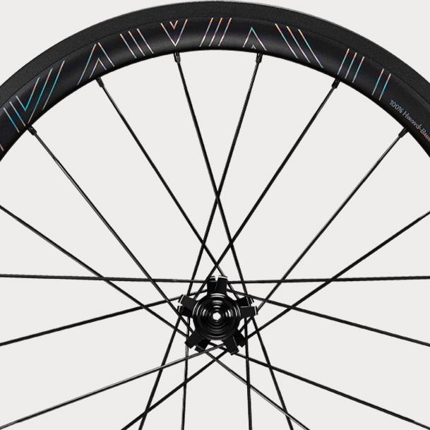 Hubsmith HS-Locust A406 Birdy用 11速 406 (20インチ) RB ホイール