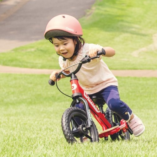 未使用　アイデス D-Bike KIX AL ディーバイクキックス　AL レッド D-Bike Kix AL / ディーバイクキックス エーエル – アイデス公式