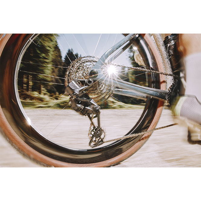 カンパニョーロ BORA X 50 DB 2WAY シマノHG C27 前後セット | ロード