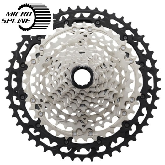 6_000000005350.jpg?1729735854