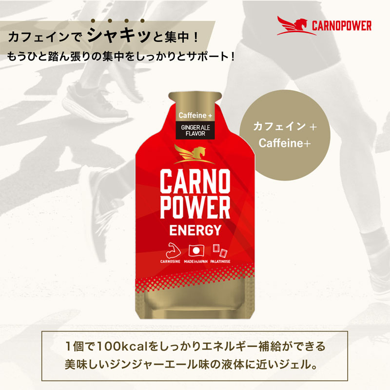 ハマリ産業 カルノパワー ENERGY ジンジャーエール 40g×10パック