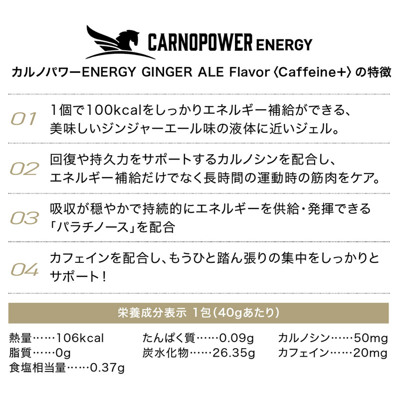 ハマリ産業 カルノパワー ENERGY ジンジャーエール 40g×10パック