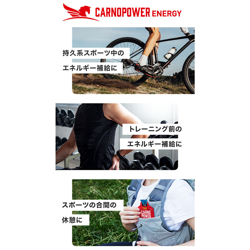 ハマリ産業 カルノパワー ENERGY ジンジャーエール 40g×10パック
