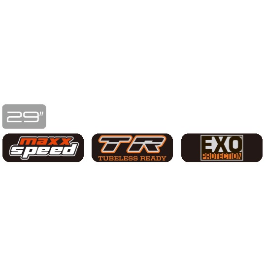 マキシス シビア 2 29×2.25 チューブレスレディ フォルダブル MAXXIS