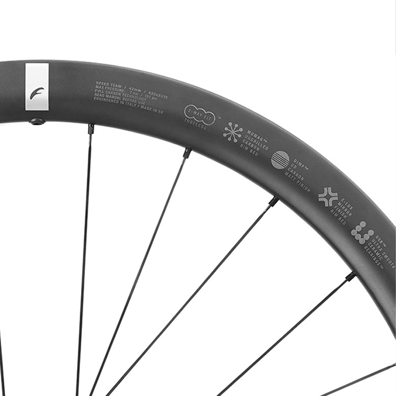 フルクラム Speed 42 DB TEAM 2WAY センターロック シマノ用 前後