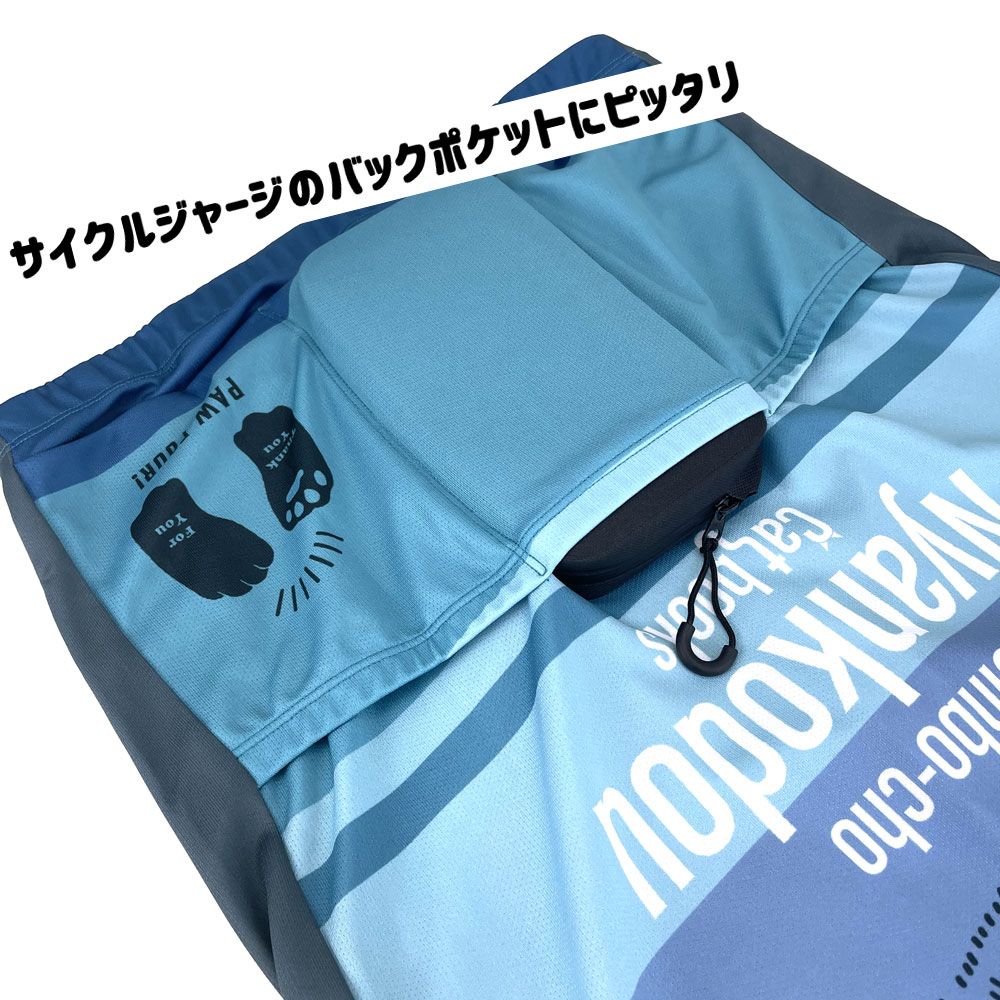 R250 防水スマートライドポーチ スーパーDX スモール ブラック