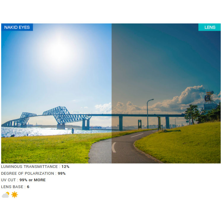 エアフライ AF-302 C-35WP（ワイドプロテクト） アクアブルーフレーム