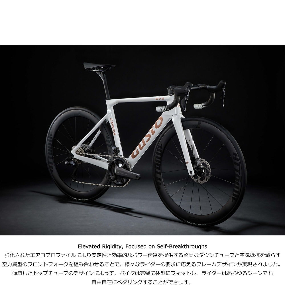 送料無料】【代引不可】25GUSTO(グスト) COBRA EVO DB PRO TE