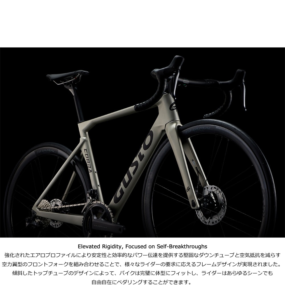 送料無料】【代引不可】25GUSTO(グスト) COBRA EVO DB SPORT TE チーム