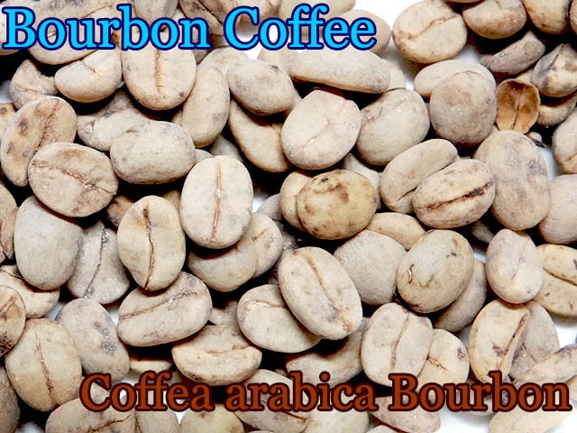 ҡ֥ܥ(Coffee arabica Borbon)