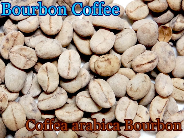 ҡ֥ܥ(Coffee arabica Borbon)