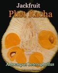 [����å��ե롼�ġ��ڥåȡ������](Phet Racha)���