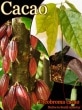 [���祳�졼�Ȥ���]�ƥ��֥��ޡ�������(Theobroma cacao)��4�������å�