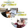 BEAST ��ϰ�ͤ���餹 �襽�� CUT �� 2��set �ӡ����� �襽�� ���ܸ���뤢�� Highlight �ϥ��饤�� Beast B2ST �ӡ����� Yang Yo seob ���襽�� �ڹ����ȼ�ϿDVD Highlight DVD