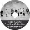 K-POP DVD SEVENTEEN 2025 Dance Practice Collection - SEVENTEEN ֥ƥ ֥ KPOP DVD