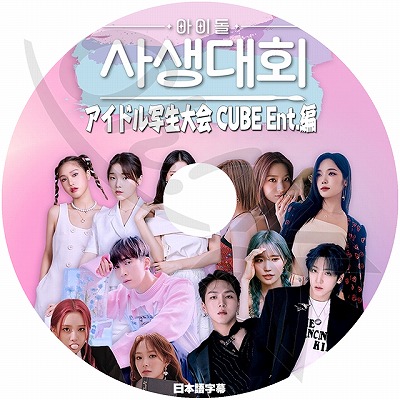 K-POP DVD アイドル 写生大会 CUBE ENT編 日本語字幕あり BTOB