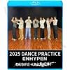 Blu-ray ENHYPEN 2025 DANCE Practice - Bad Desire No Doubt Brought The Heat Back XO Sweet Venom Bite Me Bite Me ParadoXXX Invasion Future Perfect - ENHYPEN ϥե ֥롼쥤