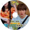 K-POP DVD EXO Running man EXO KAI�� 2025.04.27 ���˥󥰥ޥ� ���ܸ���뤢�� EXO ������ KAI ���� KPOP DVD 
