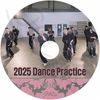 K-POP DVD A STRAY KIDS 2025 2nd DANCE PRACTICE ���ȥ쥤���å� KPOP DVD
