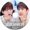 K-POP DVD A SEVENTEEN SEUNGKWAN's BIBBIDI BOBBIDI BOO DK�� 2026.01.22 ���ܸ���뤢�� Seventeen ���֥�ƥ����� ���֥� SEUNGKWAN ���󥰥��� KPOP DVD