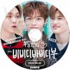 K-POP DVD A SEVENTEEN SEUNGKWAN's BIBBIDI BOBBIDI BOO RIIZE�� 2026.04.02 ���ܸ���뤢�� Seventeen ���֥�ƥ����� ���֥� SEUNGKWAN ���󥰥��� KPOP DVD