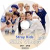 K-POP DVD A STRAY KIDS SKZ VLOG #13 EP71-EP78 ���ܸ���뤢�� Stray Kids ���ȥ쥤���å� ���०���� �Х����� ���ߥ�� �������ӥ� �ե���ҥ�󥸥� �ϥ󥸥��� ���ե���å��� ���ॹ��ߥ� ��󥸥�󥤥� �ڹ����� KPOP DVD