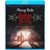 Blu-ray Stray Kids THE DOMINATE EXPERIENCE ���ܸ���뤢�� K-POP �֥롼�쥤 Stray Kids ���ȥ쥤���å� ���०���� �Х����� ���ߥ�� �������ӥ� �ե���ҥ�󥸥� �ϥ󥸥��� ���ե���å��� ���ॹ��ߥ� ��󥸥�󥤥� �֥롼�쥤