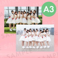 Peel the Appleü̿ѥͥA3291414mm